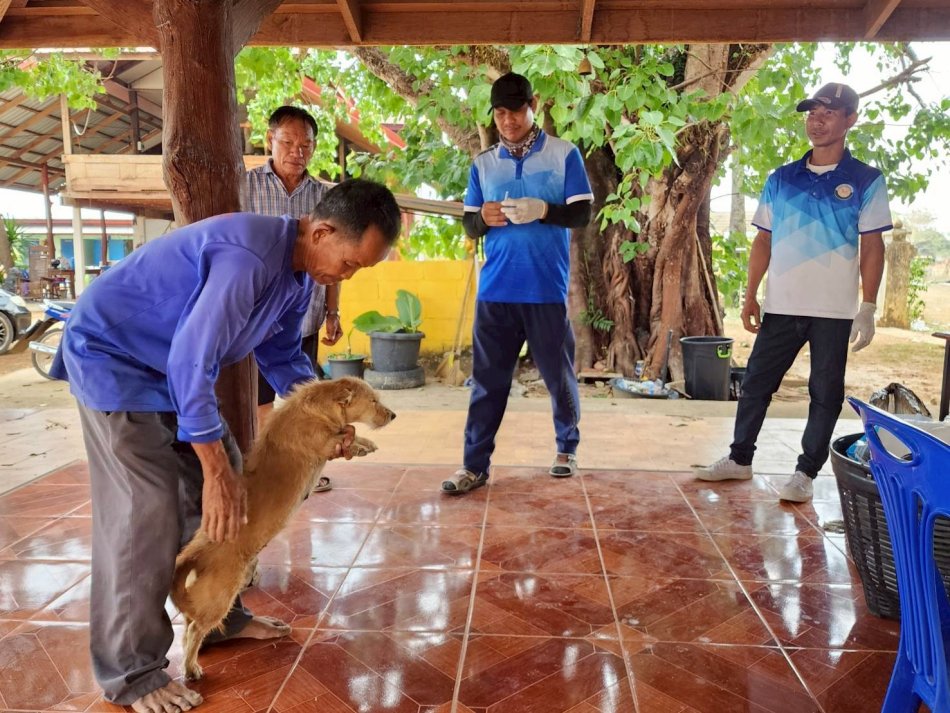ฉีดวัคซีนป้องกันโรคพิษสุนัขบ้า โครงการสัตว์ปลอดโรคคนปลอดภัยจากโรคพิษสุนัขบ้า ปีงบประมาณ ๒๕๖๘